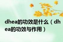 dhea的功效是什么（dhea的功效与作用）