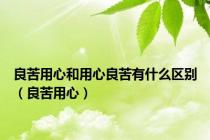 良苦用心和用心良苦有什么区别（良苦用心）