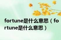 fortune是什么意思（fortune是什么意思）