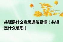 共轭是什么意思通俗易懂（共轭是什么意思）