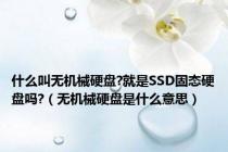 什么叫无机械硬盘?就是SSD固态硬盘吗?（无机械硬盘是什么意思）