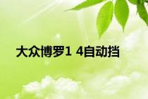 大众博罗1 4自动挡