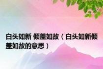 白头如新 倾盖如故（白头如新倾盖如故的意思）