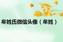 牟姓氏微信头像（牟姓）