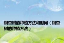 银杏树的种植方法和时间（银杏树的种植方法）