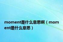 moment是什么意思啊（moment是什么意思）