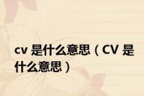 cv 是什么意思（CV 是什么意思）