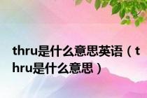 thru是什么意思英语（thru是什么意思）