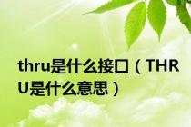 thru是什么接口（THRU是什么意思）