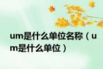 um是什么单位名称（um是什么单位）