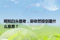 明知白头偕老，却依然按剑是什么意思？