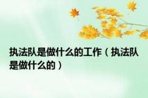 执法队是做什么的工作（执法队是做什么的）