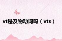 vt是及物动词吗（vts）