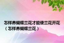 怎样养蝴蝶兰花才能使兰花开花（怎样养蝴蝶兰花）