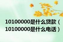 10100000是什么贷款（10100000是什么电话）