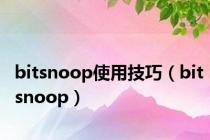 bitsnoop使用技巧（bitsnoop）