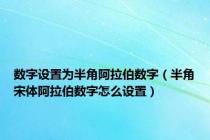 数字设置为半角阿拉伯数字（半角宋体阿拉伯数字怎么设置）