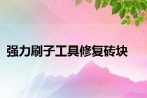 强力刷子工具修复砖块