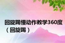 回旋踢慢动作教学360度（回旋踢）