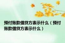 预付账款借贷方表示什么（预付账款借贷方表示什么）