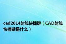 cad2014射线快捷键（CAD射线快捷键是什么）