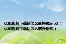 优酷视频下载后怎么转换成mp3（优酷视频下载后怎么转换格式）