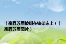 十宗罪苏眉被绑在铁架床上（十宗罪苏眉图片）