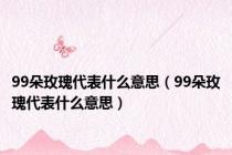 99朵玫瑰代表什么意思（99朵玫瑰代表什么意思）