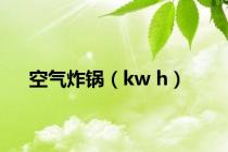 空气炸锅（kw h）