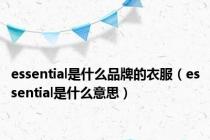 essential是什么品牌的衣服（essential是什么意思）