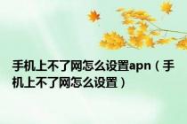 手机上不了网怎么设置apn（手机上不了网怎么设置）