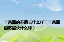 十宗罪的苏眉长什么样（十宗罪的苏眉长什么样）