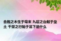 合抱之木生于毫末 九层之台起于垒土 千里之行始于足下是什么