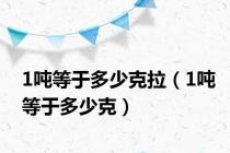 1吨等于多少克拉（1吨等于多少克）