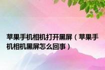 苹果手机相机打开黑屏（苹果手机相机黑屏怎么回事）