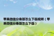 苹果微信分身版怎么下载视频（苹果微信分身版怎么下载）