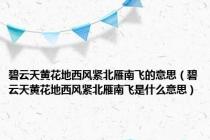 碧云天黄花地西风紧北雁南飞的意思（碧云天黄花地西风紧北雁南飞是什么意思）