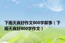 下雨天真好作文800字叙事（下雨天真好800字作文）