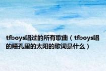 tfboys唱过的所有歌曲（tfboys唱的瞳孔里的太阳的歌词是什么）