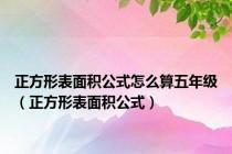 正方形表面积公式怎么算五年级（正方形表面积公式）