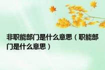 非职能部门是什么意思（职能部门是什么意思）