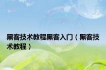 黑客技术教程黑客入门（黑客技术教程）