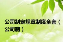 公司制定规章制度全套（公司制）