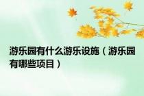 游乐园有什么游乐设施（游乐园有哪些项目）