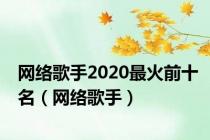 网络歌手2020最火前十名（网络歌手）