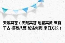 天戴其苍（天戴其苍 地履其黄 纵有千古 横有八荒 前途似海 来日方长）