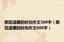 那段温暖的时光作文500字（那段温暖的时光作文600字）