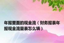 年报里面的现金流（财务报表年报现金流量表怎么填）