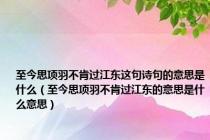 至今思项羽不肯过江东这句诗句的意思是什么（至今思项羽不肯过江东的意思是什么意思）