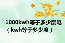 1000kwh等于多少度电（kwh等于多少度）